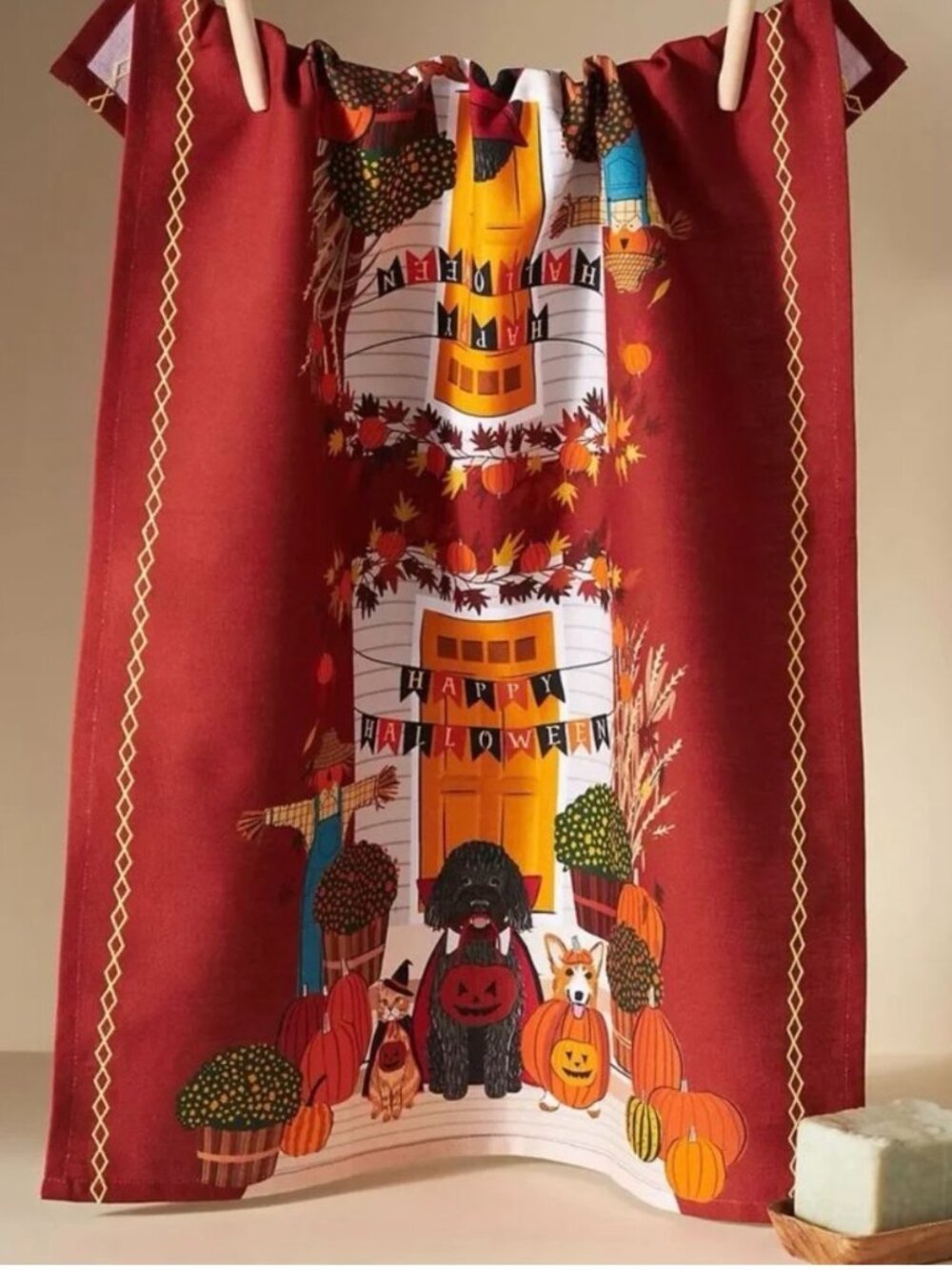 Anthropologie Peek-A-Boo Dish Towel